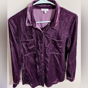 Splendid Velvet Button Up